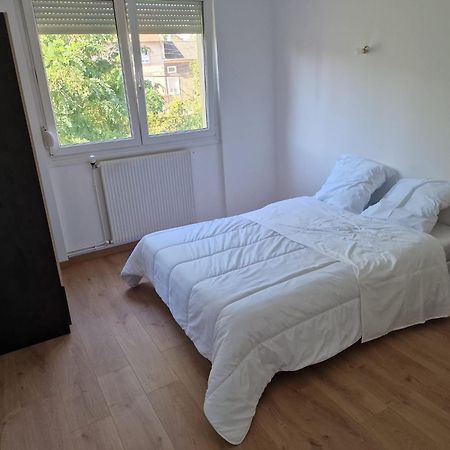 Location Appartement 80M2 A Rombas 외부 사진